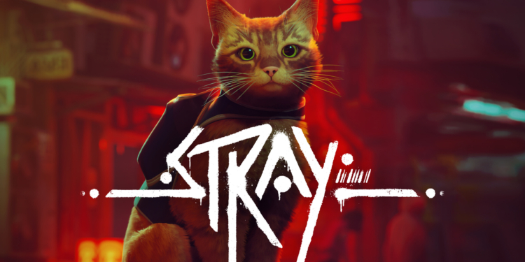 Review stray, meong lucu penghilang stress | annapurna