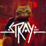 Review stray, meong lucu penghilang stress | annapurna