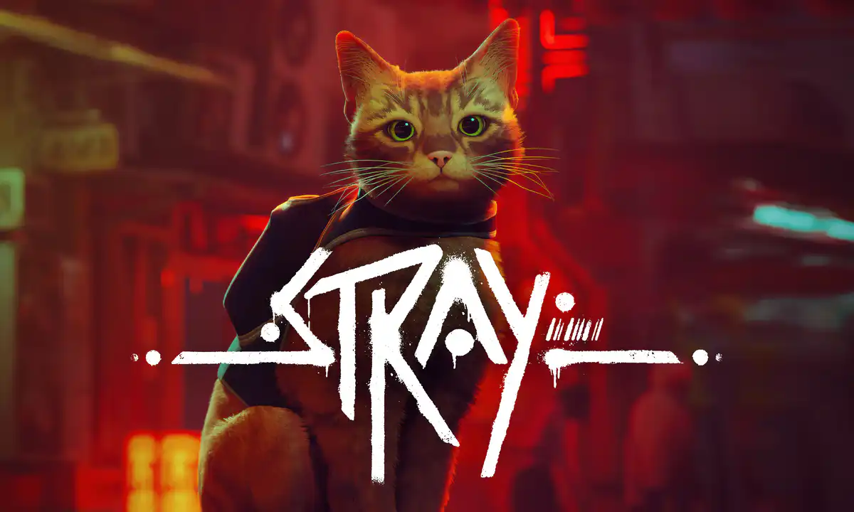 Review Stray, Meong Lucu Penghilang Stress | Annapurna