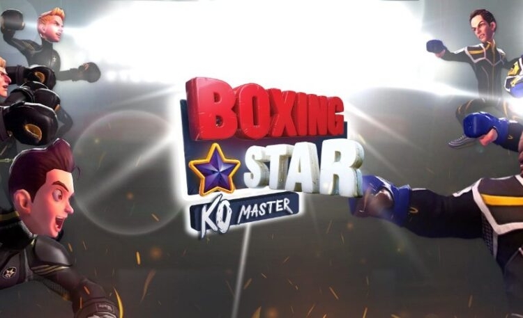 Boxing star ko master