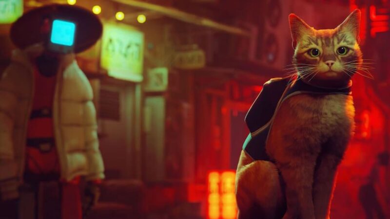 Lala, Sosok Kucing Oyen Pengisi Suara Kucing Di Game Stray