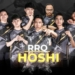 Rrq hoshi esports id