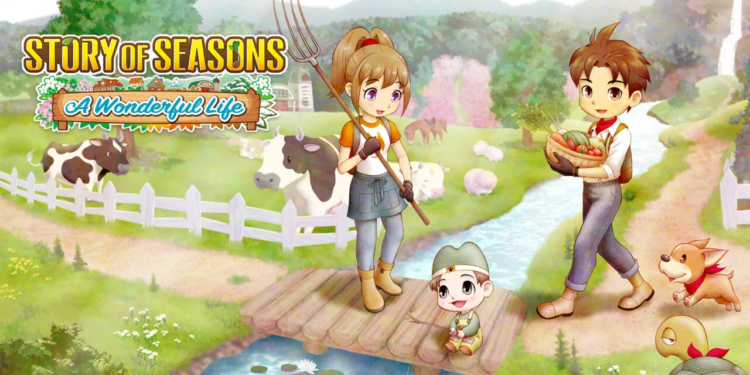 Story of seasons: a wonderful life