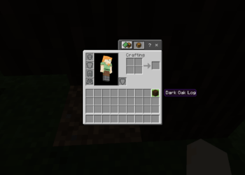 How to get dark oak log in minecraft