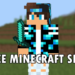 Free minecraft skins