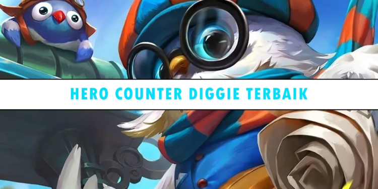 Counter diggie terbaik