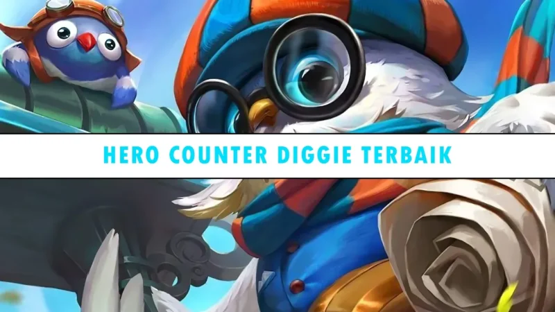 Counter Diggie Terbaik