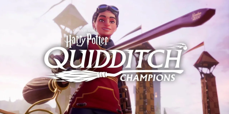 Harry potter: quidditch champions