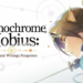 Tanggal rilis monochrome mobius: rights and wrongs forgotten