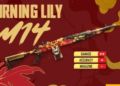 M14 burning lily ff