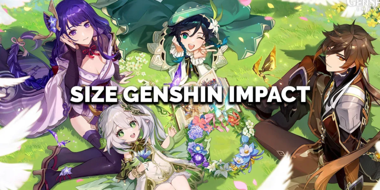 Genshin impact size now