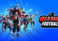 Wild card football