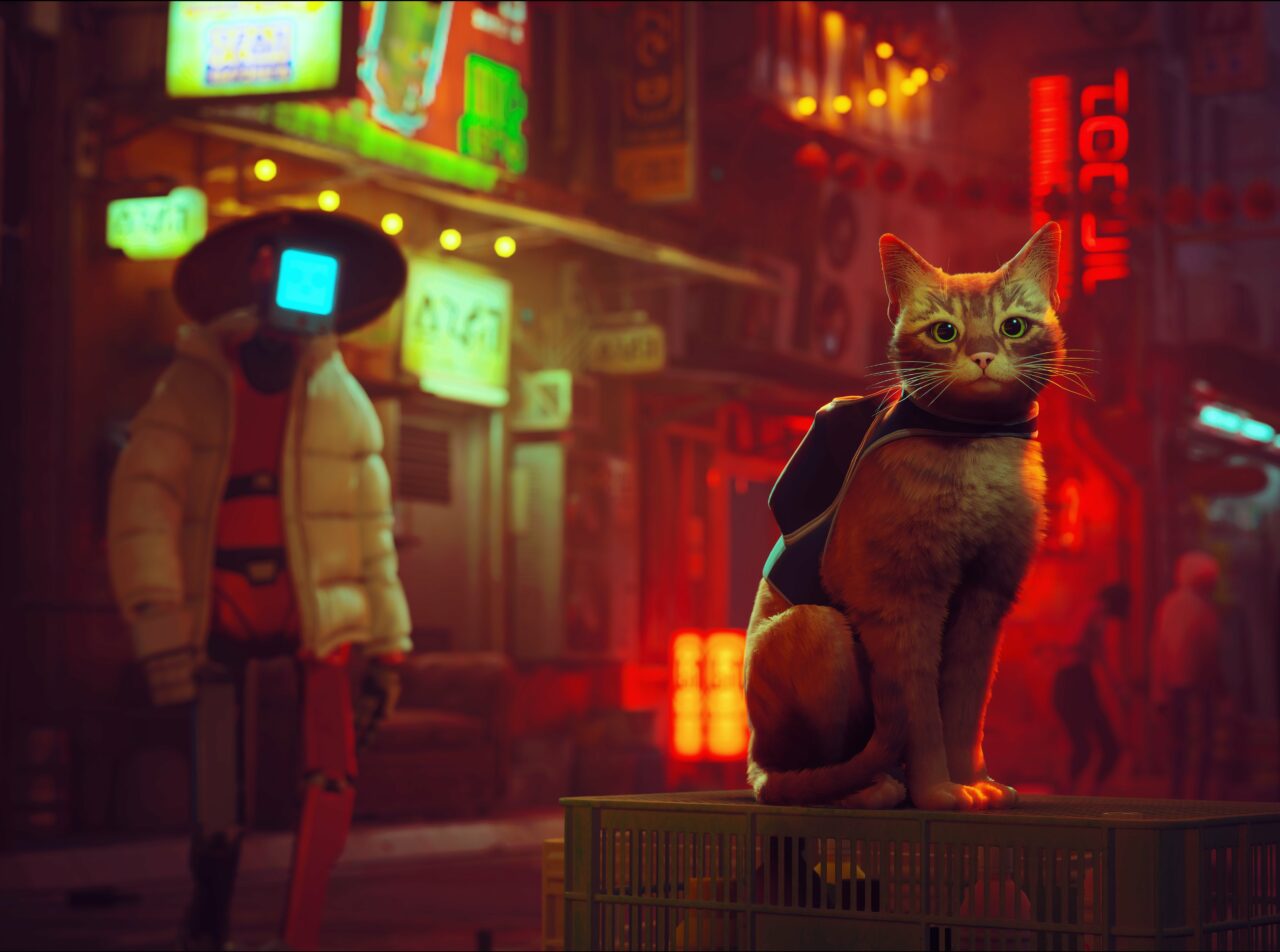 STRAY Dapat Adaptasi Film Animasi!
