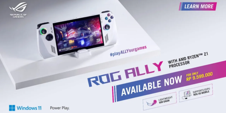 Rog ally