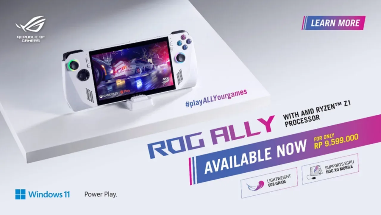 Rog ally