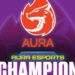 Aura esport axis cup