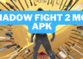 Shadow fight 2 mod apk unlimited everything and max level terbaru 2024 gamedaim