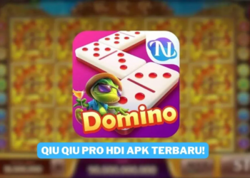 Download qiu qiu pro hdi apk terbaru 2024 gamedaim