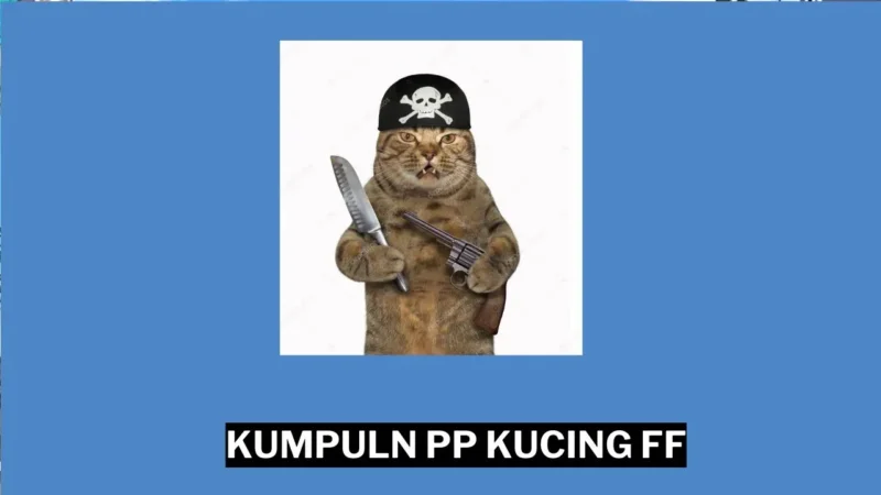 100+ Pp Kucing Ff Terbaru 2024 Gamedaim