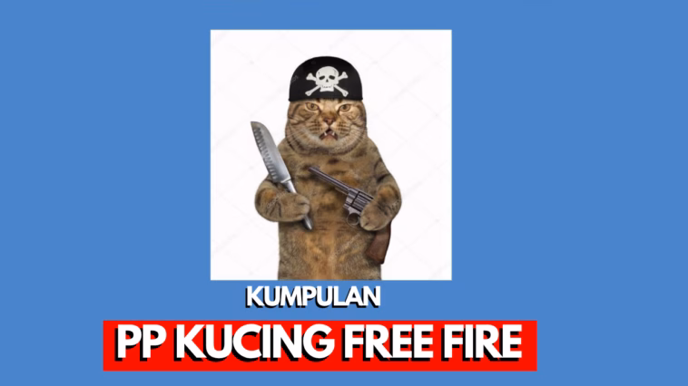 Gambar PP kucing untuk FF terbaru tahun 2026 yang lucu dan keren