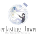 Tanggal rilis everlasting flowers diumumkan