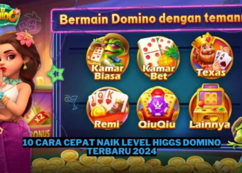 10 cara cepat naik level higgs domino terbaru 2024