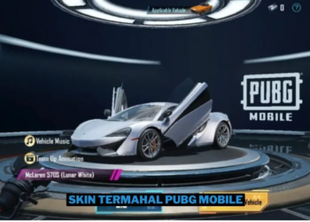 10 skin termahal di pubg mobile 2024