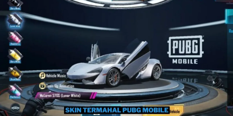 10 skin termahal di pubg mobile 2024