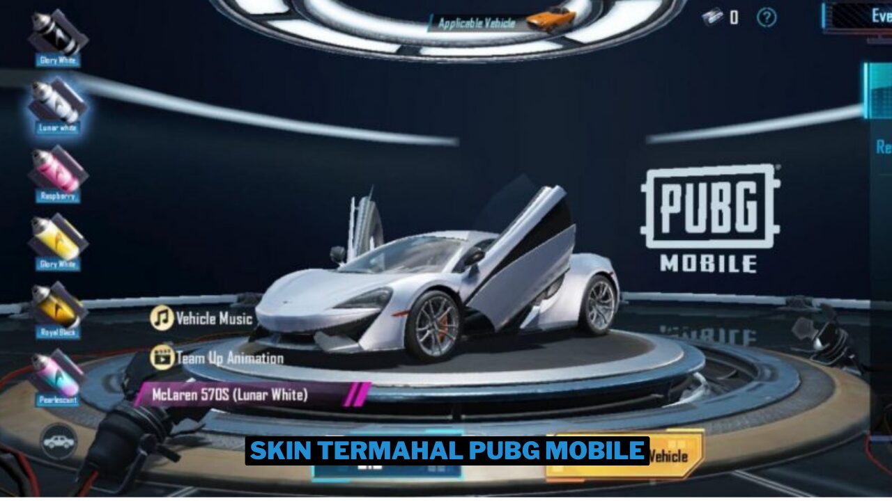 10 Skin Termahal di PUBG Mobile 2025