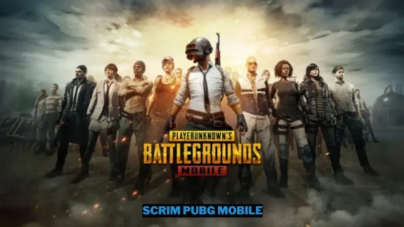 Scrim PUBG Mobile: Pengertian, Jenis dan Cara Bergabung