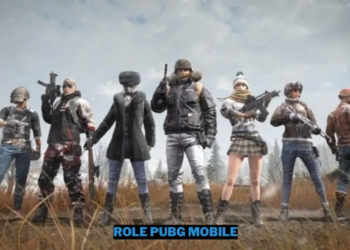 Role pubg mobile dalam sebuah tim