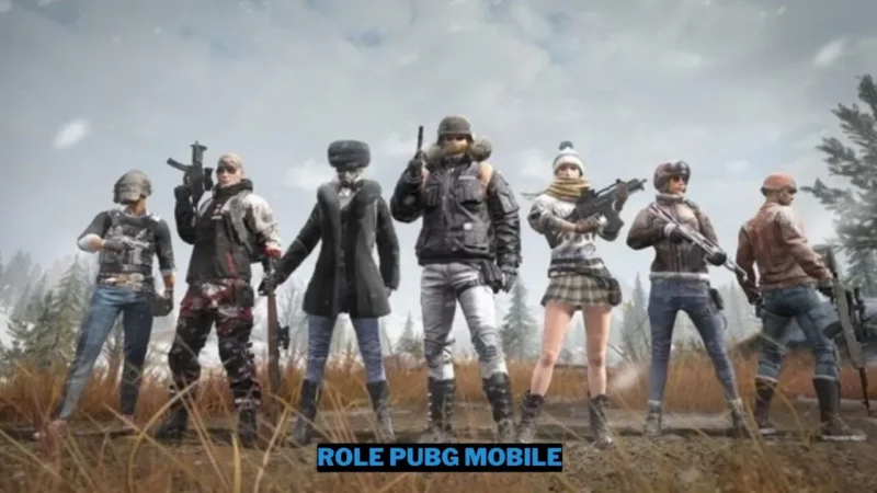 Role PUBG Mobile dalam Sebuah Tim