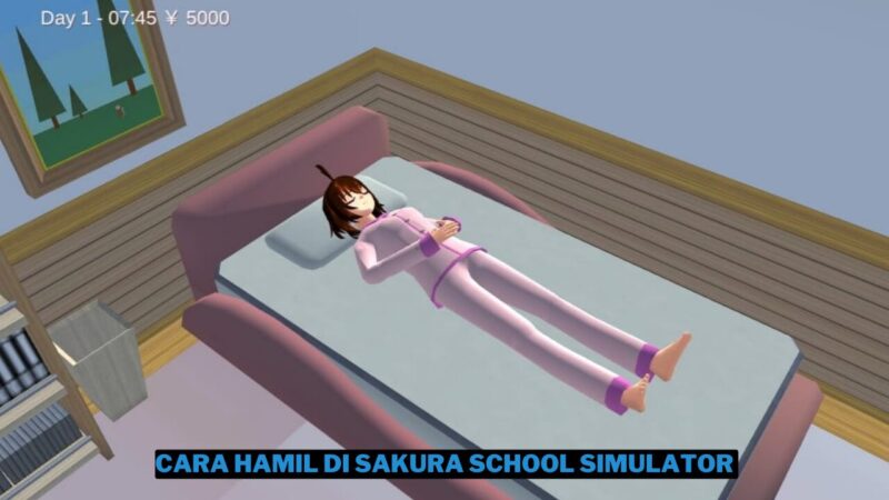 Cara Hamil di Sakura School Simulator dengan Mudah