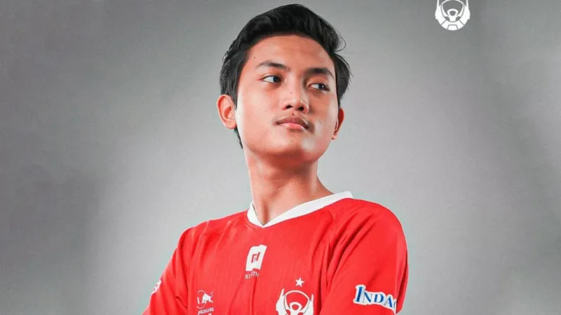 15 Pro Player Indonesia Yang Dikenal Oleh Dunia Ryzen