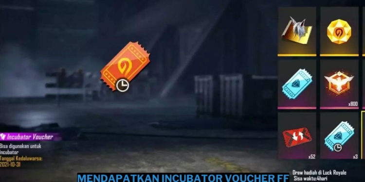 Cara mendapatkan incubator voucher ff dengan mudah