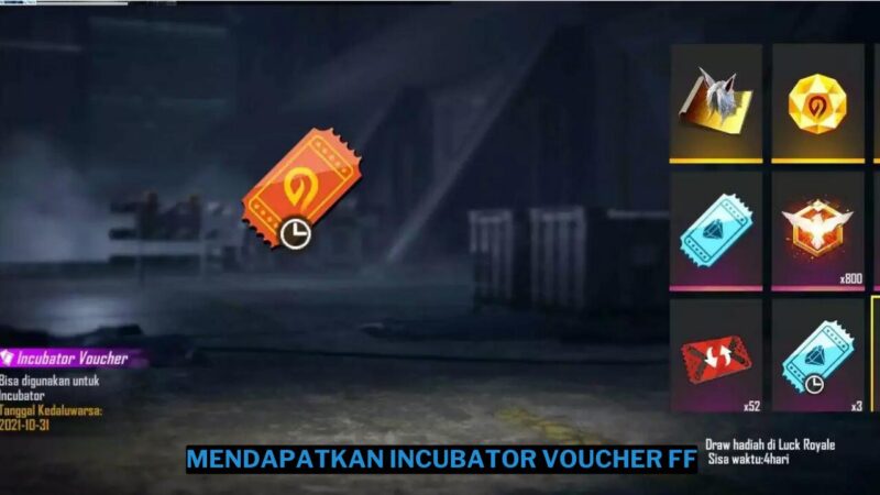 Cara Mendapatkan Incubator Voucher FF dengan Mudah