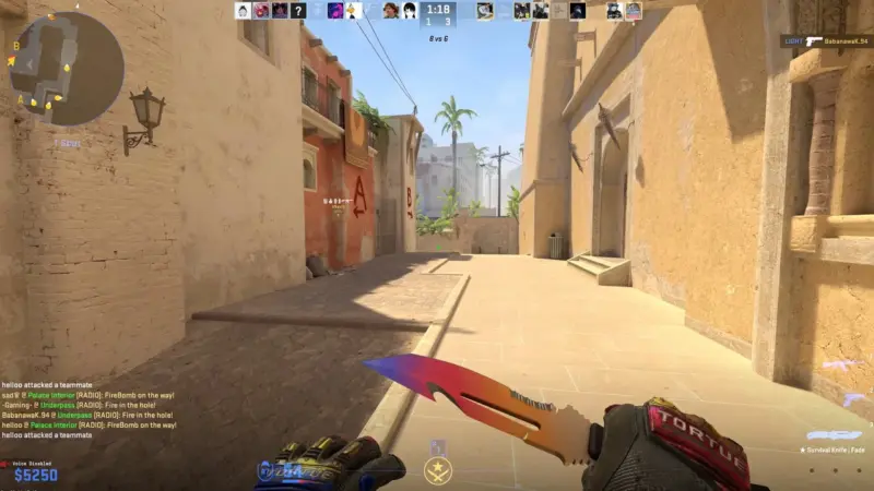 Cs2 running with knife