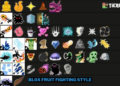 Blox fruit fighting style tier list lengkap 2024