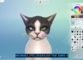 Cara membeli peliharaan di the sims 4