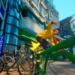 Video dan screenshot jet set radio remake bocor ke internet