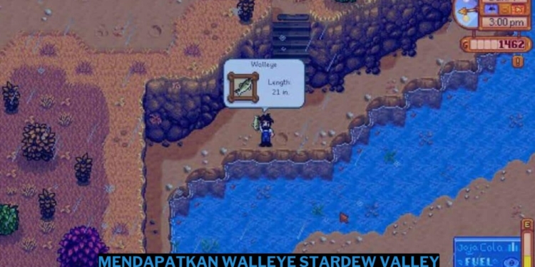 Cara mendapatkan walleye di stardew valley