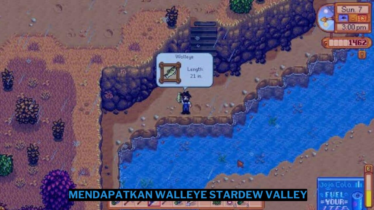 Cara mendapatkan walleye di stardew valley