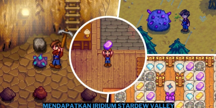 Cara mendapatkan iridium stardew valley