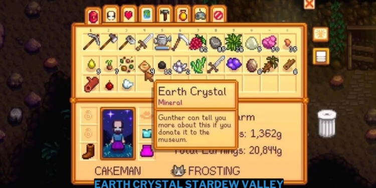 Cara mendapatkan earth crystal stardew valley