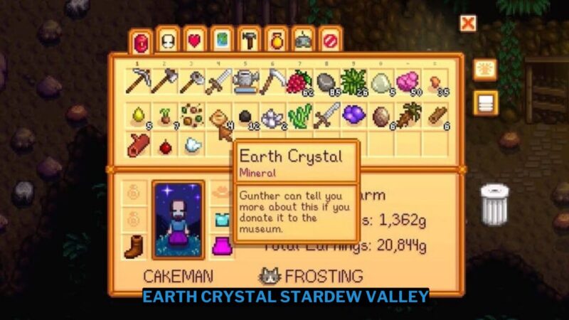 Cara Mendapatkan Earth Crystal Stardew Valley