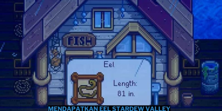 Cara mendapatkan eel di stardew valley