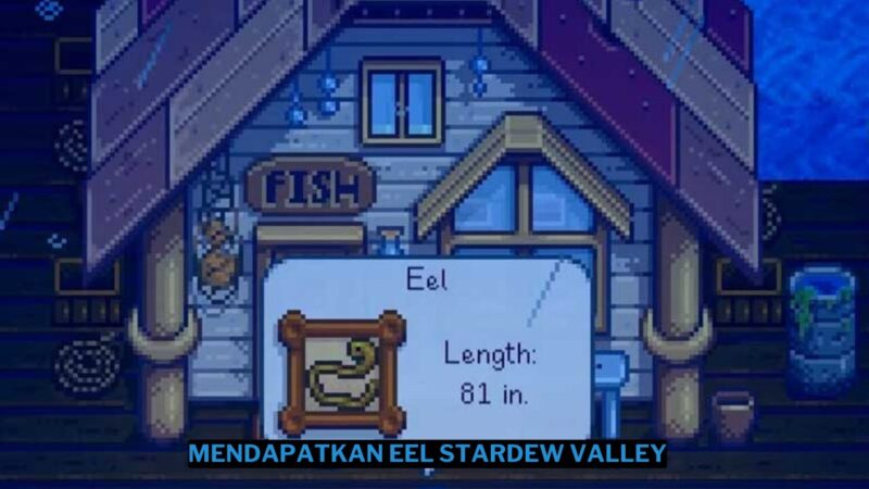 Cara Mendapatkan Eel di Stardew Valley