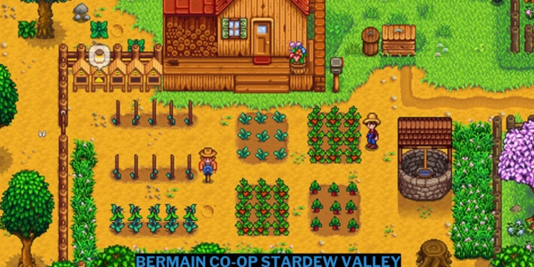 Cara bermain co-op stardew valley untuk pemula