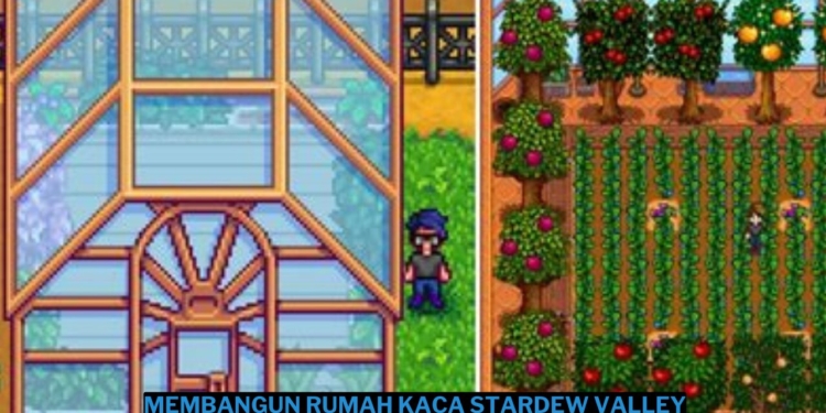 Cara membangun rumah kaca stardew valley