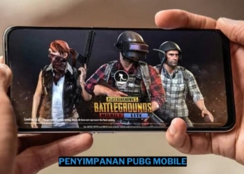 Penyimpanan pubg mobile: detail dan spesifikasi